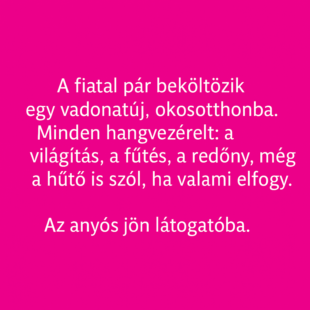 Az anyós és az okosotthon s