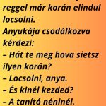 M&oacute;ricka h&uacute;sv&eacute;t