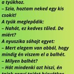 Húsvétkor a nyuszika bekopog a tyúkhoz. nyuszika