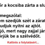 Két rendőr a kocsiba zárta a slusszkulcsot… plépo