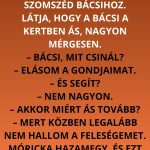 Móricka és a szomszéd móricka szomszéd