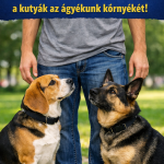 Kevesen tudják: ezért szeretik szaglászni a kutyák az ágyékunk környékét BCO.0114084b-61c9-4da0-a0f0-b79b42184788
