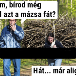K&eacute;pernyők&eacute;p 2026-07-24 180441