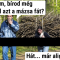 Szívem, bírod még erővel azt a mázsa fát?