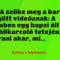 Vicc: A szőke meg a barna együtt videóznak