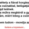 Vicc: Megy a székely a fiával horgászni –