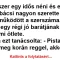 Vicc: Volt egyszer egy idős néni és egy bácsi