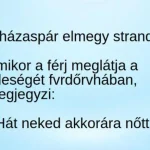 VICC: A házaspár a strandon fur