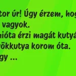 Vicc: Doktor úr! Úgy érzem, hogy kutya vagyok… vicc-doktor-ur-ugy-erzem-hogy-kutya-vagyok-750x422