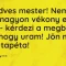 Vicc: Kedves mester! Nem lesz nagyon vékony ez a fal? – kérdezi a megbízó…