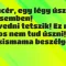 Vicc: Pincér, egy légy úszik a levesemben…