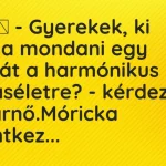 Vicc: – Gyerekek, ki tudna mondani egy példát a harmonikus házaséletre? viccek-gyerekek-ki-tudna-mondani-egy-peldat-a-1024x576
