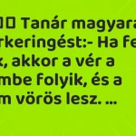 viccek-tanar-magyarazza-a-verkeringest-ha-fejen-allok-akkor-1024x576