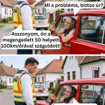 Ilonka néni 100-al száguldott a faluban, de megvolt rá a nyomós oka 759531277_1697322239065558_129339186662386915_n