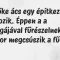 Vicc: A szőke ács egy építkezésen dolgozik. Éppen a a kollégájával…